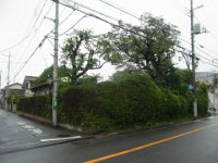 RIMG3234