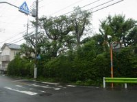 RIMG3237