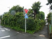 RIMG3241