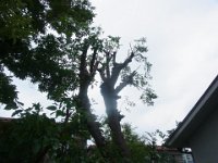 20190710