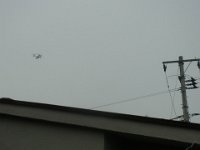 RIMG3340