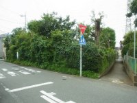 RIMG3365