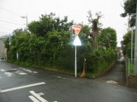 RIMG3368