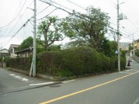 20190718
