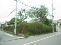 RIMG3413