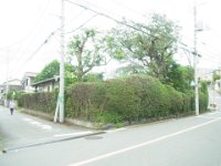 RIMG3414