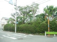 RIMG3415