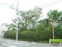 RIMG3417