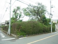 RIMG3420