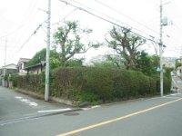 RIMG3422