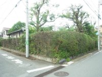 RIMG3423