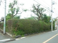RIMG3424