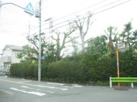 RIMG3425