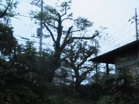 RIMG3457