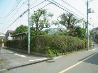 RIMG3590