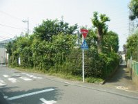 RIMG3597