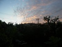 20190806
