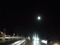 RIMG4339
