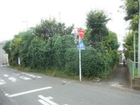 RIMG4515