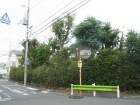 RIMG4516