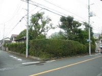 RIMG4518