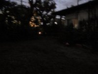RIMG4562