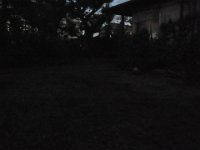 RIMG4563