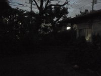 RIMG4566