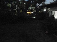 RIMG4571