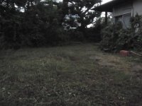 RIMG4575