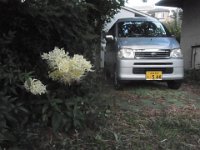 RIMG4599