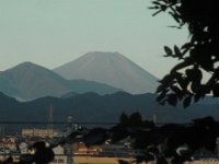 RIMG4677