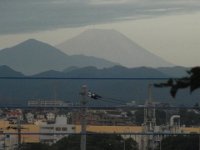 RIMG4693