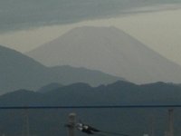 RIMG4694