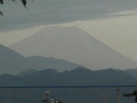 RIMG4696