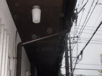 RIMG4714