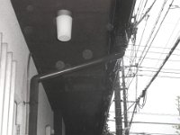 RIMG4714X