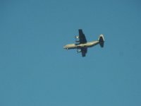 RIMG4831