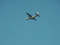 RIMG4833