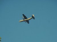 RIMG4835