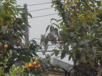 20191022