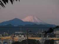 RIMG4972
