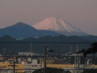 RIMG4973