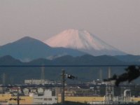 RIMG4974