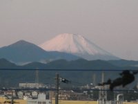 RIMG4975