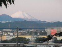RIMG4976