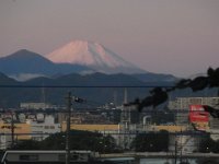 RIMG4979