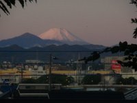 RIMG4982