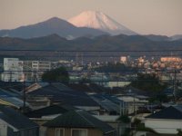 RIMG4992