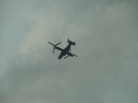 RIMG4996